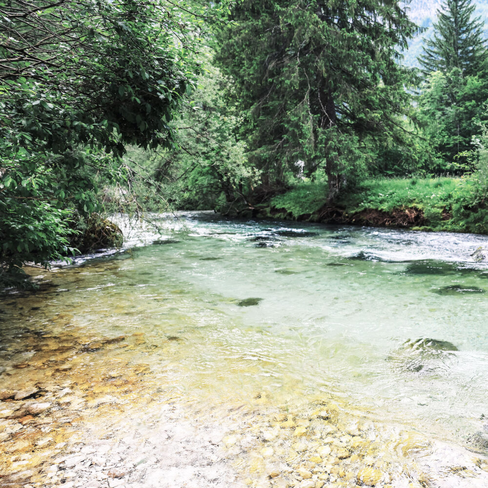 bohinka cycling trail bohinjka river slovenia